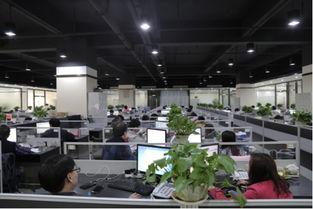 走訪歡酷 以技術轉讓為紐帶，筑牢產品安全與質量的基石